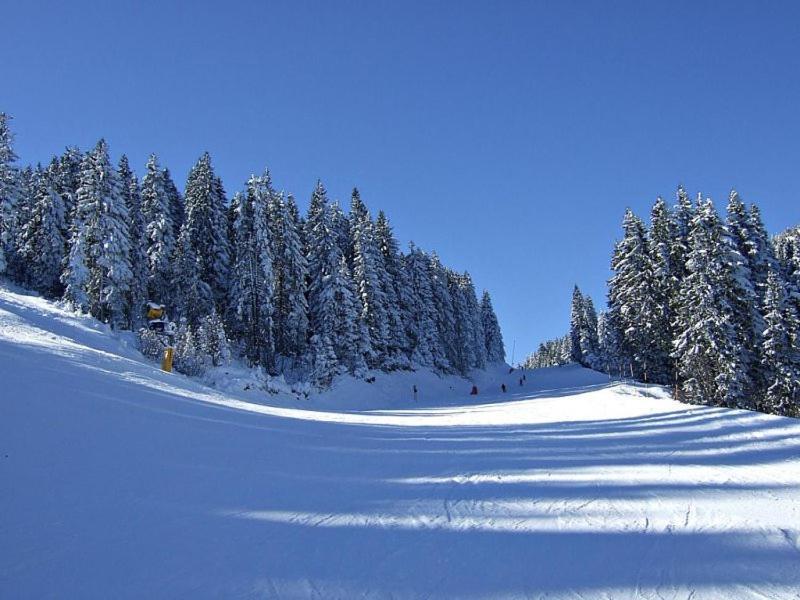 L&N Apartmani Kopaonik-Milmari Resort Εξωτερικό φωτογραφία
