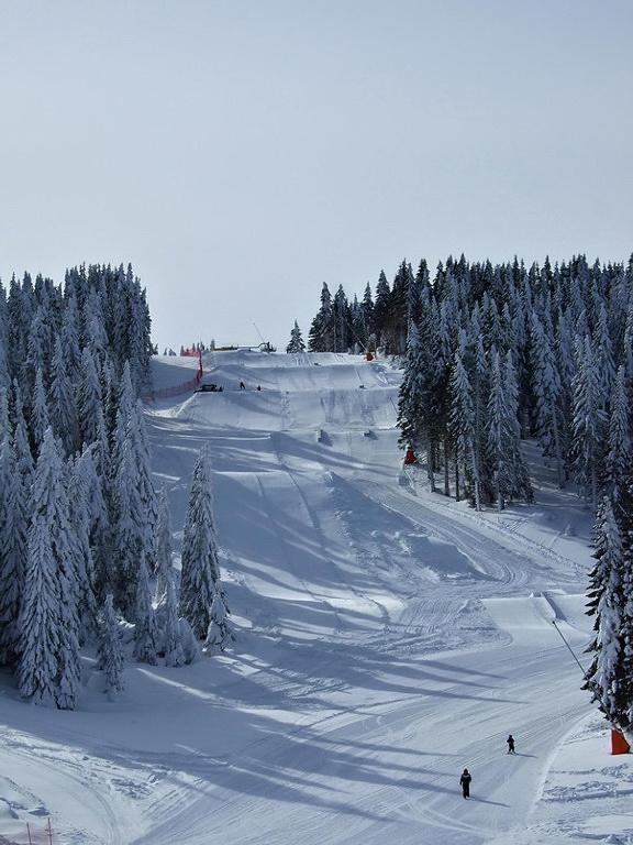 L&N Apartmani Kopaonik-Milmari Resort Εξωτερικό φωτογραφία