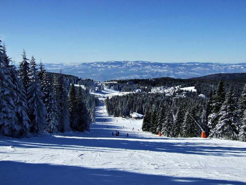 L&N Apartmani Kopaonik-Milmari Resort Εξωτερικό φωτογραφία